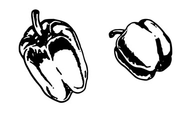 bell peppers or papprika illustrated in a minimalist black and white design for culinary inspiration