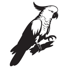 Silhouette Cockatoo Vector Illustration Perched on a Branch Artwork