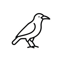 Minimalist outline icon a crow standing on bird animal