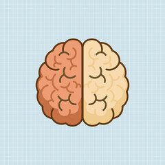 Human Brain Illustration with Hemispheres