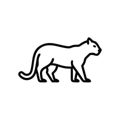 Outline a cougar walking on a puma animal