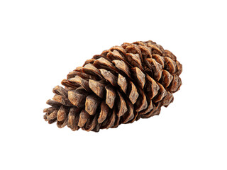 Textured brown pine cone isolated on black natural, Isolated, Transparent Png