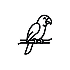 Outline a parrot perched on a branch bird