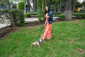 Small Dog in Harness Explores Grass While Owner Observes