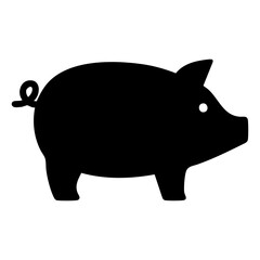 Fototapeta premium Pig