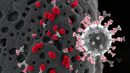 Immune evasion (pneumococci)
Immunoscopic examination of the pneumococcal capsule:
- Polysaccharide mantle (halo effect) obscures surface proteins
- Complement C3b proteins (red) fail to clear
