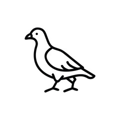 Outline icon a pigeon walking side view bird