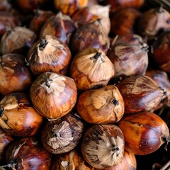 Close-up of many palm fruits