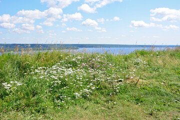 Scenic Overlook Field of Flowers with Lake and Sky View wallpaper
