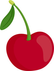 illustration cherry fruit