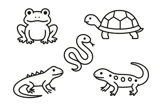 Cartoon line art reptiles and amphibians: frog, turtle, lizard, snake, salamander