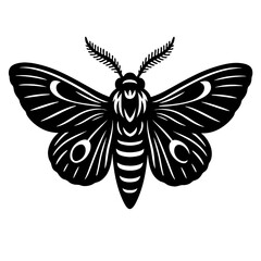 Striking Black Moth with Intricate Wing Patterns and Feathery Antennae