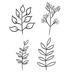 Modern Botanical Line Art Element