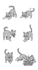 Obraz premium Six illustrations depict a gray cat in various poses: stretching, playing, catching a mouse, walking, carrying prey, and leaping over grass.