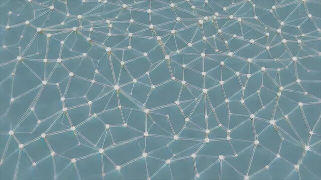 Triangular Network Technology Background Corporate