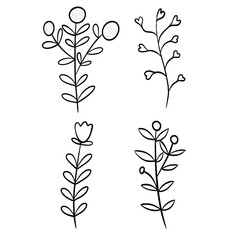 Elegant Doodle Leaf Branch Vector