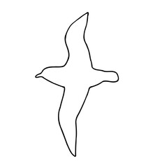 Bird Flying wings spread contour line art illustration 