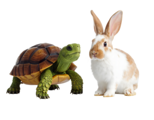 Tortoise and rabbit sitting side by side, adorable animal duo showcasing the contrast between shelled and furry wildlife.