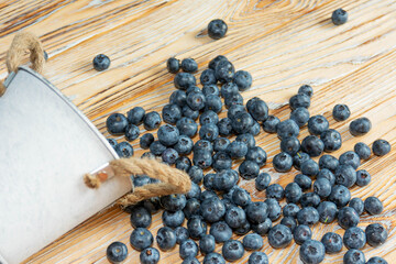 Blueberries spilled out of an iron bucket.