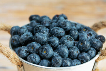 Textured Blueberries in Rustic Metal Bucket