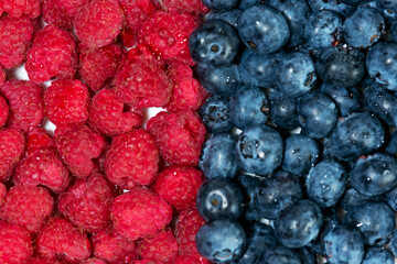 Raspberry and Blueberry Contrast Close-Up