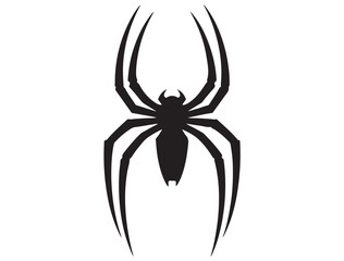 SPIDER SILHOUETTE