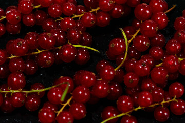 Glistening Red Currants on Dark Backgroun