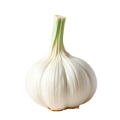 garlic with transparent background PNG and JPEG image