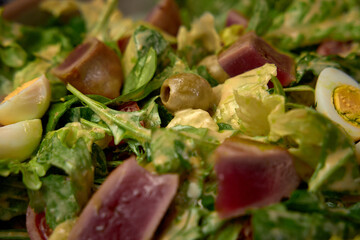Fresh and Vibrant Salad Featuring Mixed Greens, Sliced Eggs, Olives, and Tender Tuna with a Creamy Dressing for a Delicious Meal Experience