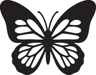 black and white butterfly