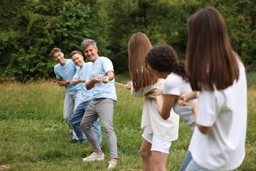 Obraz premium Team building. Group of happy people playing tug of war with rope outdoors