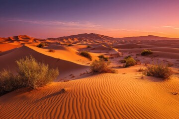 Naklejka premium Golden sands at dusk, serene desert vista featuring vibrant sunset colors, ideal for travel aficionados and nature enthusiasts craving breathtaking landscapes