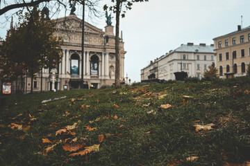Autumn leaves scattered on the grass in front of the historic Lviv Opera House, with elegant...