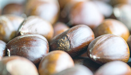 chestnuts on the ground