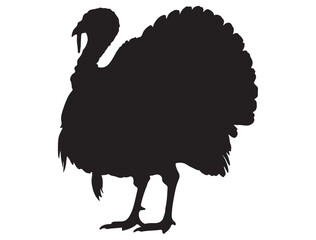 TURKEY BIRD SILHOUETTE