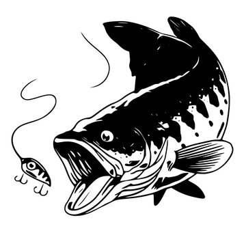 Bass clip art preview
