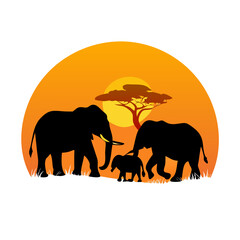 Fototapeta premium Elephant Family Silhouette Under Glowing Orange African Sky