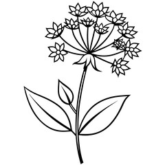 Vibrant Joe Pye Weed Blossom Illustration in Clean Style