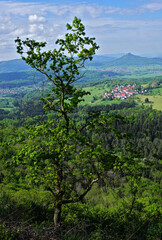 Blick vom Dreifürstenstein über Beuren zum Hohenzollern; Schwäbische Alb, Baden Württemberg; Deutschland