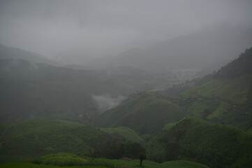 Misty hills covered in lush green vegetation under an overcast sky, creating a serene and tranquil...