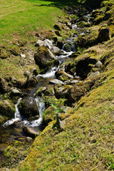 Der Kirnbach; Nebenfluss der Kinzig bei Wolfach-Kirnbach; Schwarzwald; Baden Württemberg; Deutschland