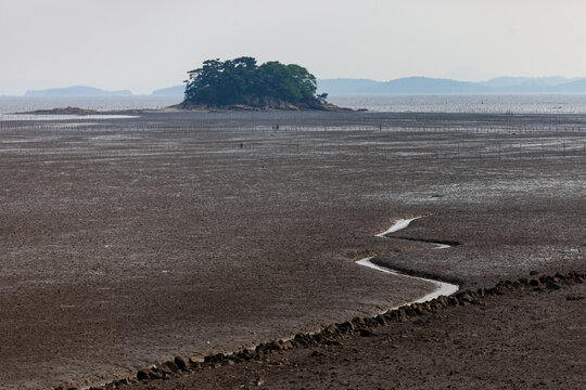 a view of the sea with mudflats