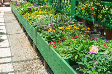Vibrant assortment of blooming flowers fills raised green wooden planters in a sunny outdoor garden display.