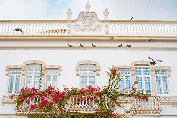 Elegant white facade with pigeons and blooming bougainvillea