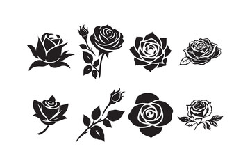 Botanical Rose Set. Silhouette Flower Collection. Victor illustration eps10