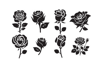 Botanical Rose Set. Silhouette Flower Collection. Victor illustration eps10