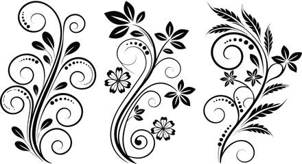 Obraz premium Ornamental design elements - a collection of ornate black and white floral vector elements. Each design should feature intricate swirls, curls, and botanical motifs such as leaves, vines, petals, and 