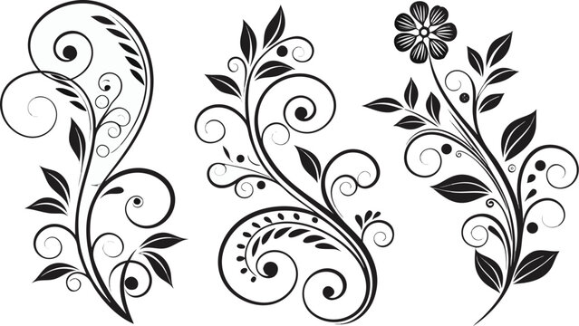 Ornamental design elements - a collection of ornate black and white floral vector elements. Each design should feature intricate swirls, curls, and botanical motifs such as leaves, vines, petals, and 