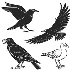 Collection of pigeon crow and raven bird silhouettes for graphic design projects