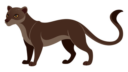 Fossa Vector Drawing for Wildlife Education Materials